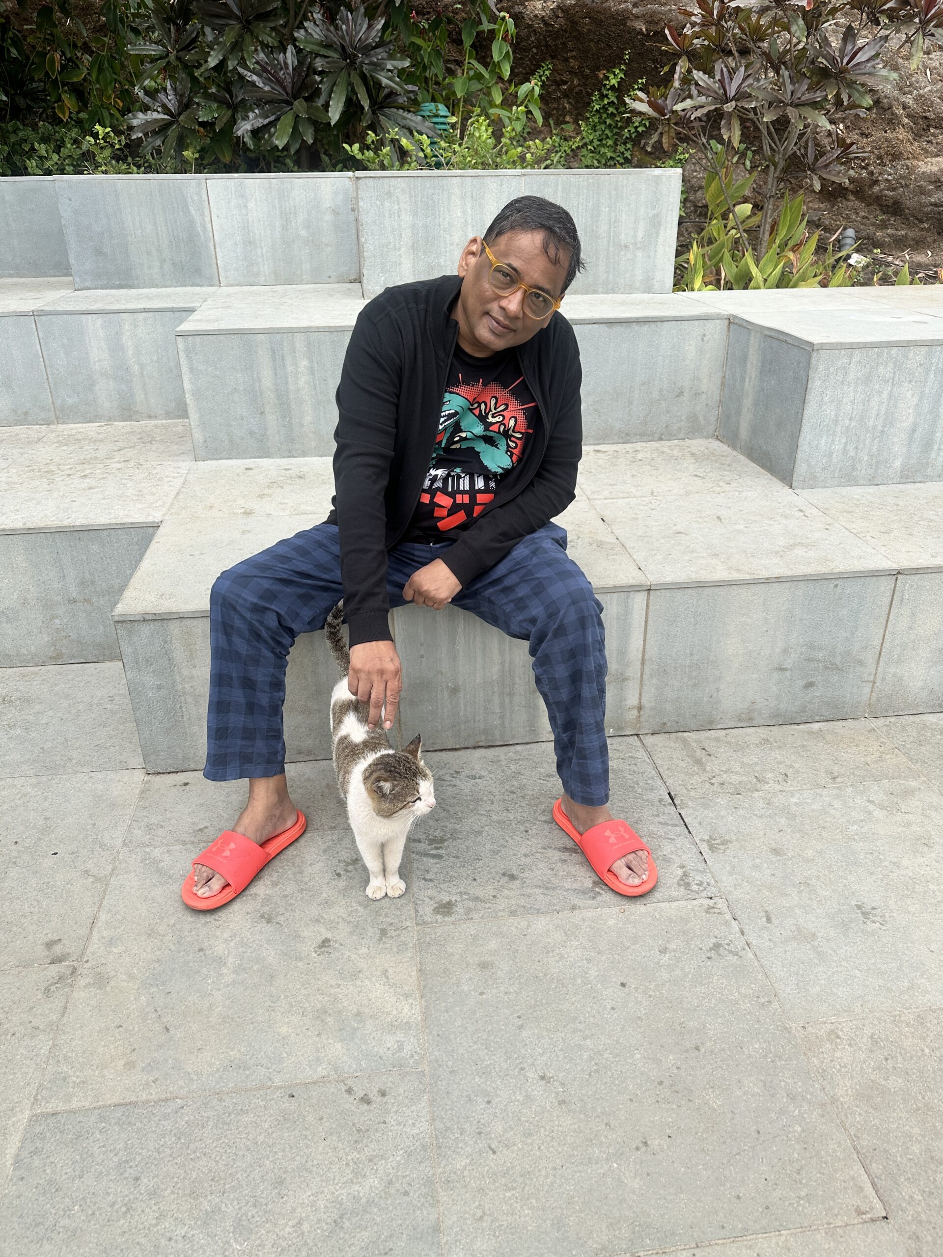 Cat at Zostel Plus Panchgani