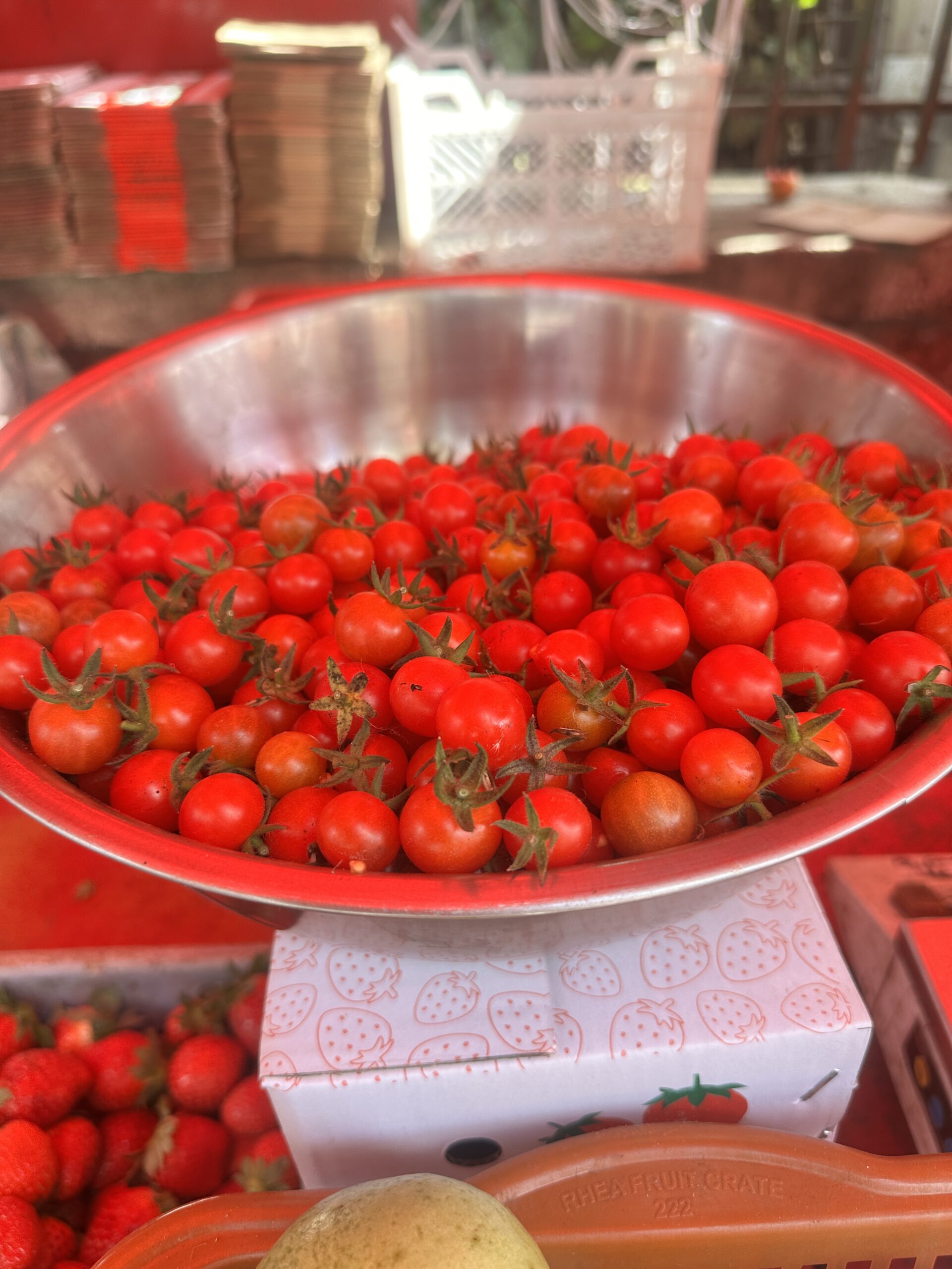 Zostel Plus Panchgani Cherry Tomatoes