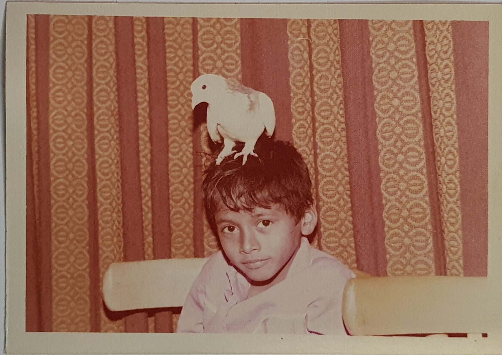 Young Sampath Iyengar as a child in Dubai with pet pigeon 1970s